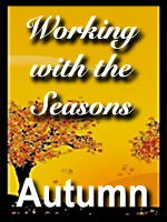 Seasons-Autumn