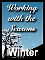 Seasons-Winter